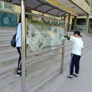 社会实践的脚步，你我同行