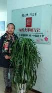 越  走  越  远