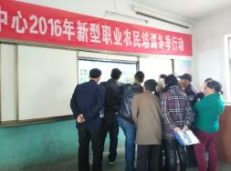 学校教学工作新动态