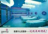 就业2.jpg